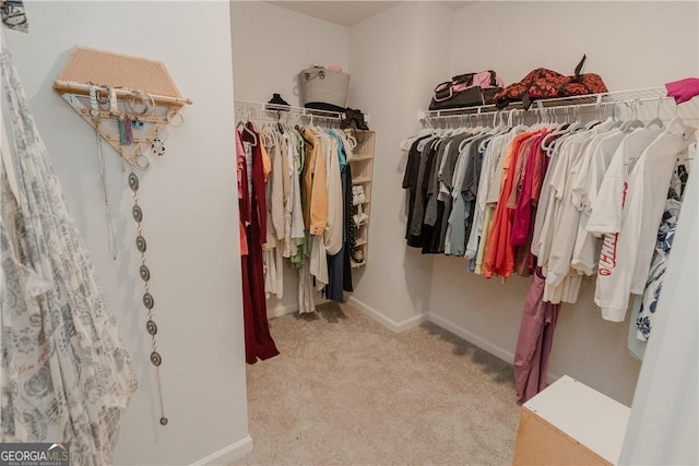 spacious closet featuring carpet flooring