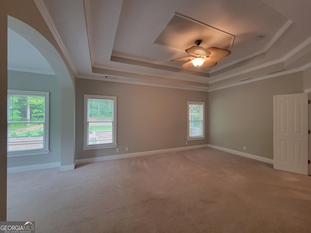 45 Mountain Crest Dr, Oxford, GA 30054 - spare room featuring a raised ceiling, light carpet, crown molding, and plenty of natural light