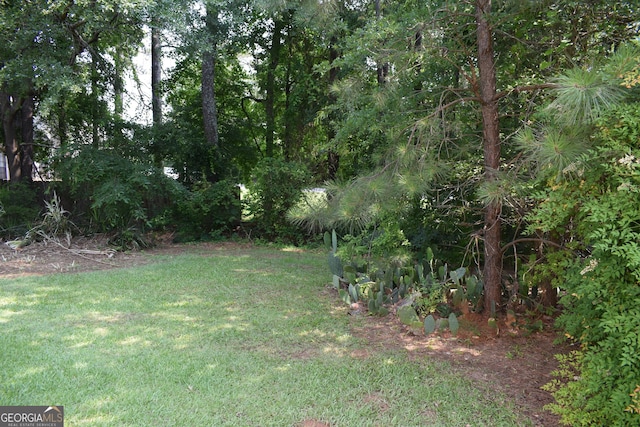 5517 Rock Shoals Way, Atlanta, GA 30349 - view of green lawn