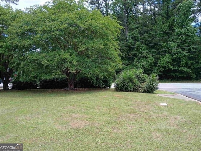 5517 Rock Shoals Way, Atlanta, GA 30349 - view of green lawn