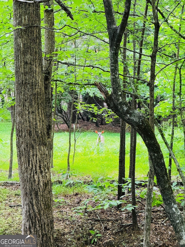 1023 Little Darby Ln, Suwanee, GA 30024 - view of nature