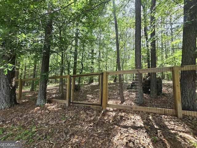55 Hubbard Ct, Newnan, GA 30263 - view of gate