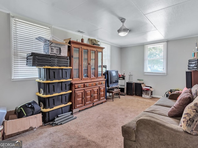 3059 Will Rogers Pl SE, Atlanta, GA 30316 - living area featuring light colored carpet and ornamental molding