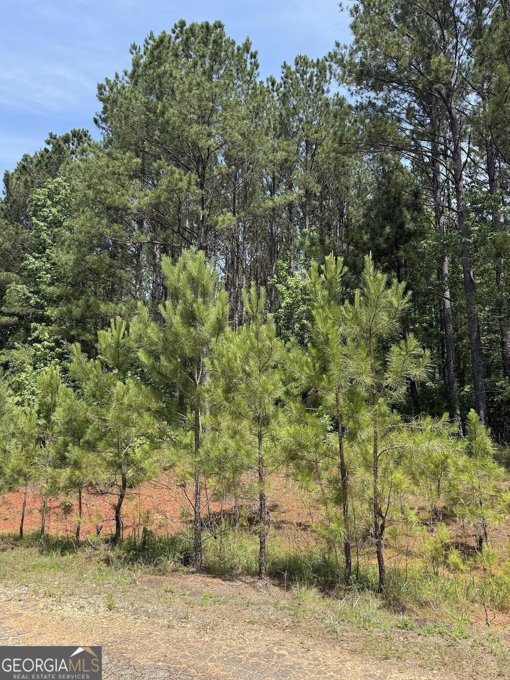 102 Lisa Woods Ln, Eatonton, GA 31024