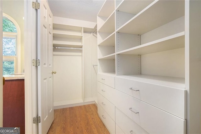 106 Waterford Pl, Acworth, GA 30101 - spacious closet with light wood-style floors