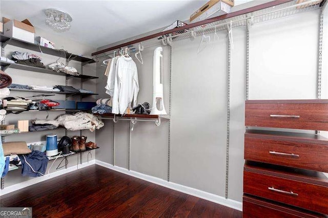 walk in closet with wood finished floors