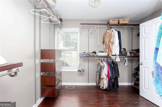walk in closet featuring wood finished floors