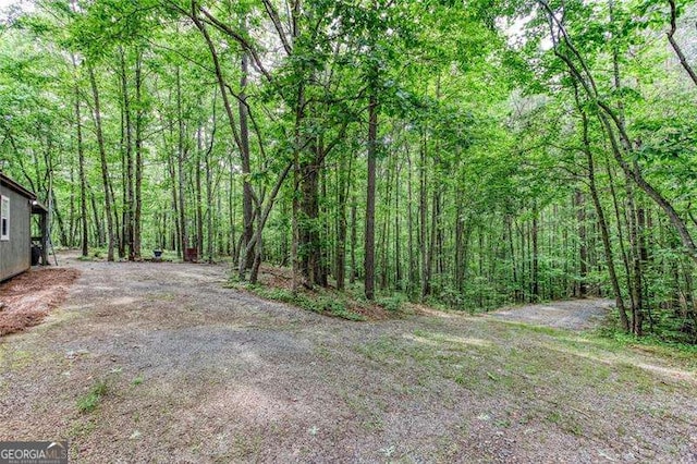 view of yard featuring a forest view
