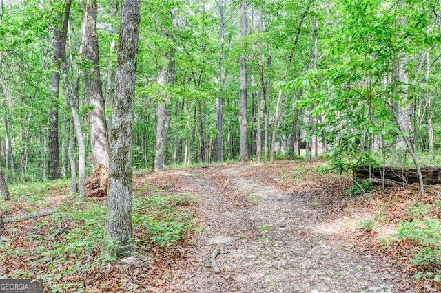 view of tree filled area