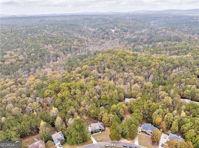 view of property location with a heavily wooded area