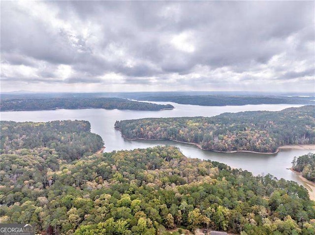 bird's eye view of a forest and a nearby body of water
