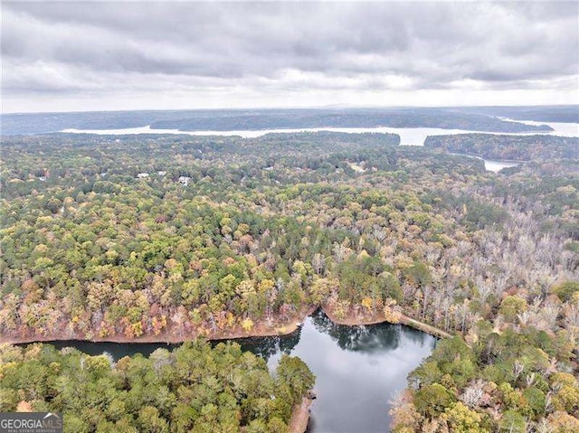 view of property location featuring a forest and a large body of water
