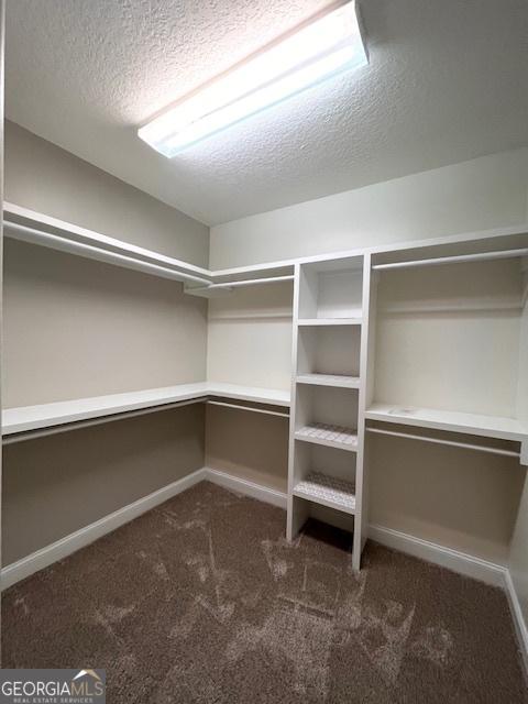 293 Laurel Landing Blvd, Kingsland, GA 31548 - spacious closet with dark colored carpet