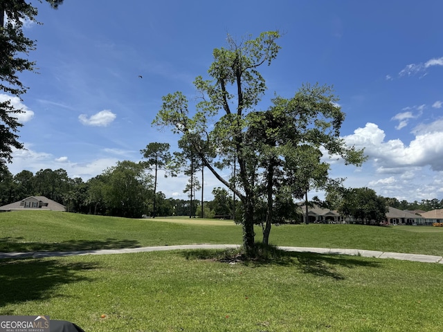 293 Laurel Landing Blvd, Kingsland, GA 31548 - surrounding community with a lawn