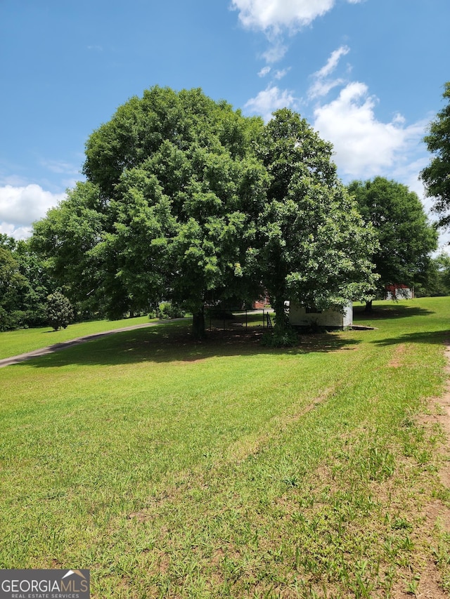 715 Bailey Jester Rd, Griffin, GA 30224 - view of green lawn