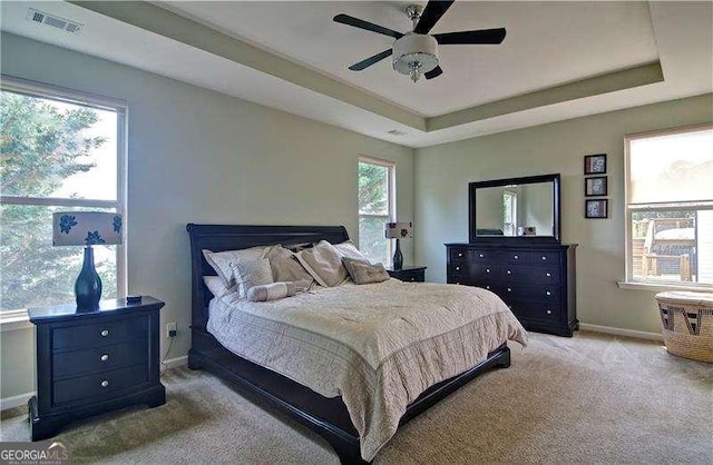 514 Creekshire Cir, Canton, GA 30115 - bedroom featuring baseboards, carpet, a raised ceiling, and a ceiling fan