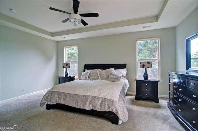 514 Creekshire Cir, Canton, GA 30115 - bedroom featuring light carpet, a raised ceiling, and multiple windows