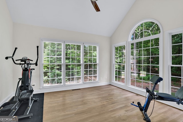 870 River Cliff Ct, Suwanee, GA 30024 - workout area with wood finished floors, baseboards, and high vaulted ceiling