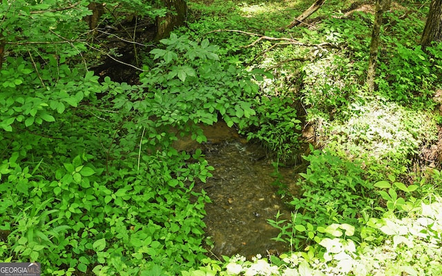 view of nature
