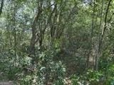 4505 Sylvester Rd, Sylvester, GA 31791