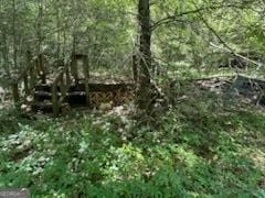 4505 Sylvester Rd, Sylvester, GA 31791