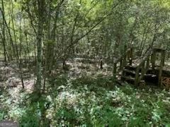4505 Sylvester Rd, Sylvester, GA 31791