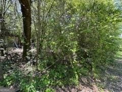 4505 Sylvester Rd, Sylvester, GA 31791