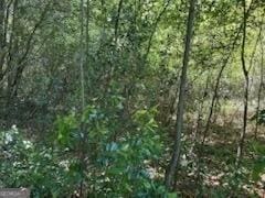 4505 Sylvester Rd, Sylvester, GA 31791