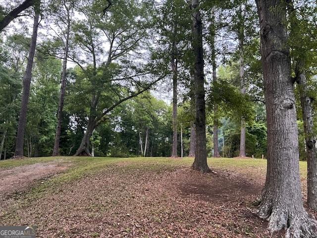 877 Bedwell St, Heflin, AL 36264