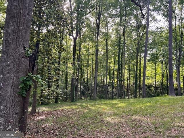 877 Bedwell St, Heflin, AL 36264