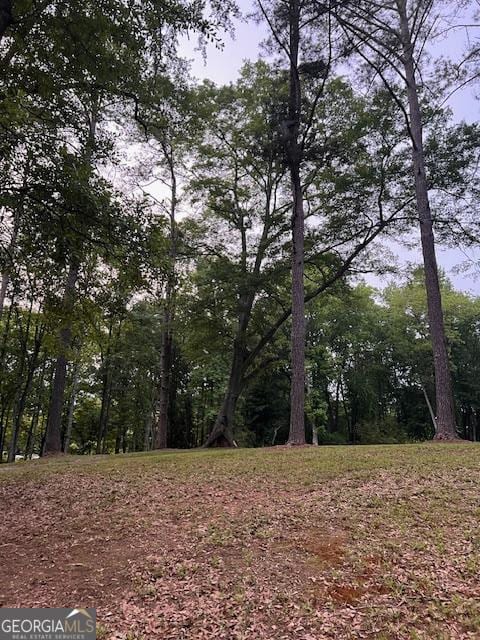 877 Bedwell St, Heflin, AL 36264