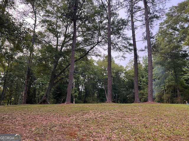 877 Bedwell St, Heflin, AL 36264