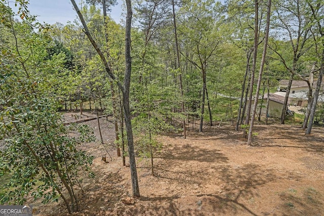 3614 Griffin Dr, Gainesville, GA 30506 - view of undeveloped land