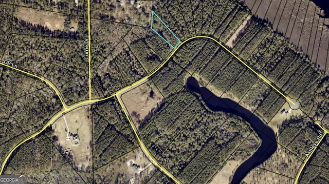V/L19 James Ln, White Oak, GA 31568