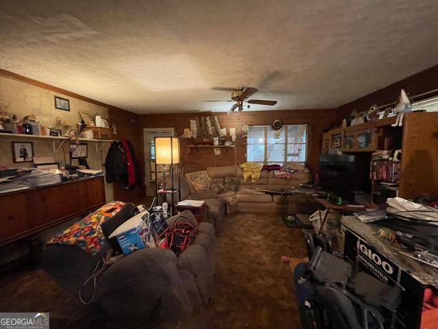 living area featuring ceiling fan and carpet floors