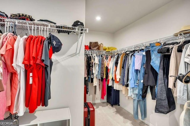 165 Brookstone Park E, Acworth, GA 30101 - walk in closet with carpet floors