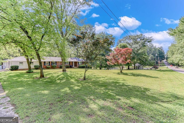 view of green lawn featuring view of scattered trees