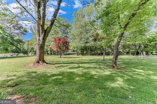 view of green lawn with view of scattered trees