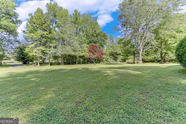 view of grassy yard