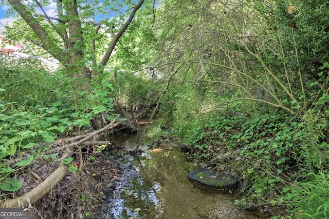 view of local wilderness