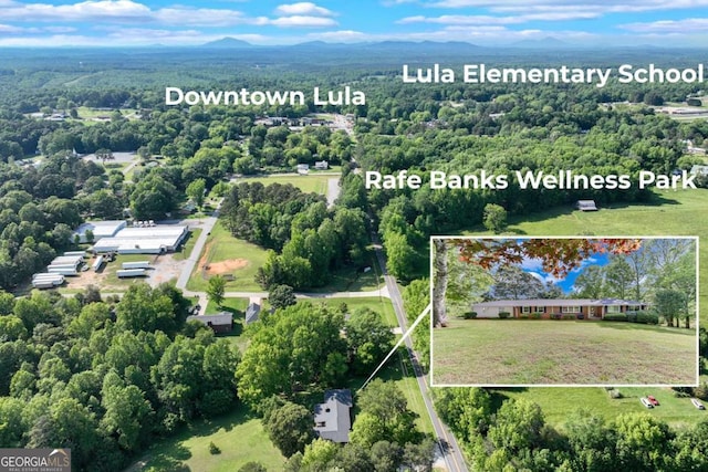 aerial overview of property's location featuring property parcel outlined, a forest, and a mountainous background