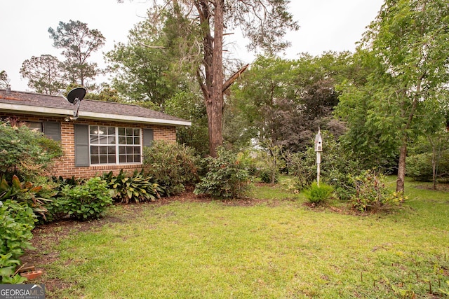 1878 Blalock Ave, Waycross, GA 31503 - view of green lawn