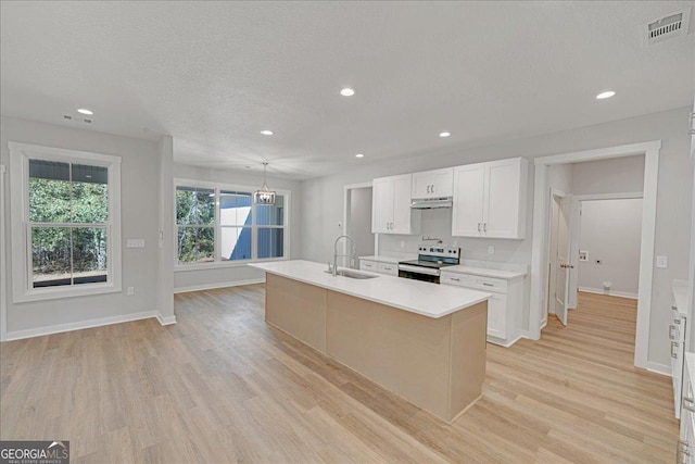 1186 Snow Hill Rd, Cadwell, GA 31009 - kitchen with stainless steel electric stove, under cabinet range hood, a sink, light wood-type flooring, and baseboards