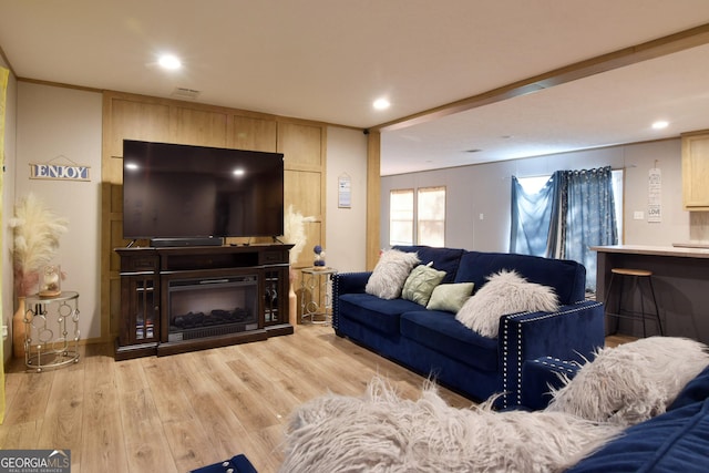 164 Livingston Rd, Smithville, GA 31787 - living area featuring wood finished floors and recessed lighting
