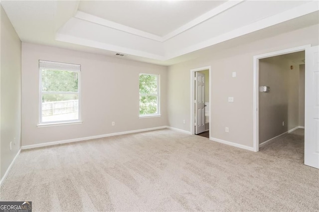 carpeted empty room featuring a raised ceiling, healthy amount of natural light, and baseboards
