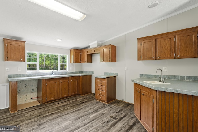 kitchen featuring ornamental molding, brown cabinets, dark wood finished floors, a sink, and a textured ceiling