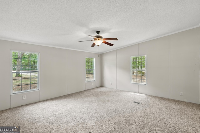 empty room featuring crown molding, plenty of natural light, ceiling fan, carpet, and a textured ceiling