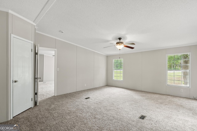 carpeted empty room featuring crown molding, a ceiling fan, and a textured ceiling