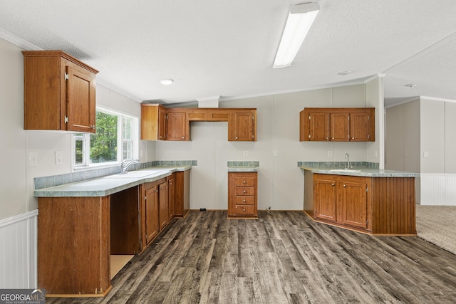 kitchen featuring vaulted ceiling, ornamental molding, a sink, dark wood-style floors, and brown cabinets