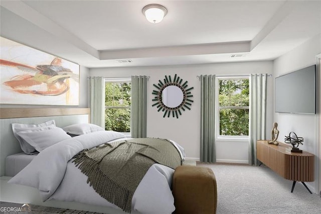 carpeted bedroom with multiple windows, baseboards, and a raised ceiling